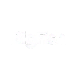 Big Fish Collective