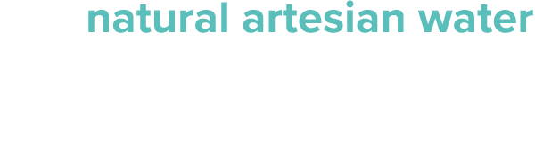 eVamor Artesian Water