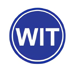 Wit Strategy