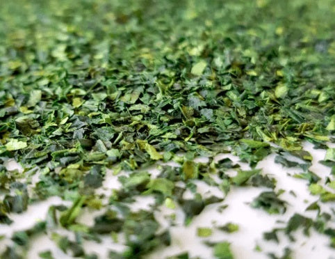 Japanese Matcha Powder - River and Stone Tea