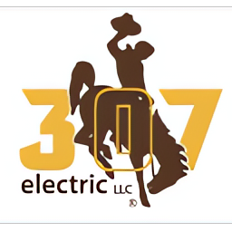 307electric