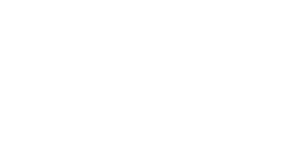 ROC Venture Group