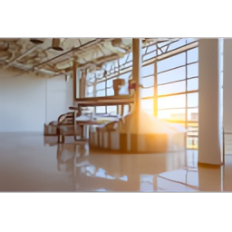 Solon Consulting