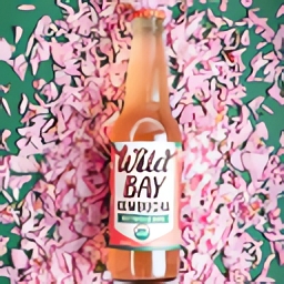 Wild Bay Kombucha