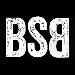 Black Shirt Brewing Co