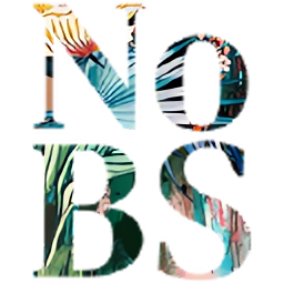 NoBS Consulting