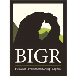 BIGR Ventures