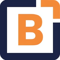 Brill Media
