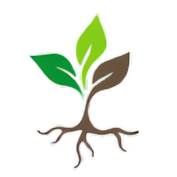 Root Naturals