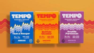 Cannabis Closeup: Examining the Evolution of Canna-Snacks With Tempo’s Robert Holland