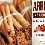 Review: Arriba Energy