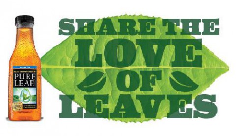 Pure Leaf Iced Tea - beverages
