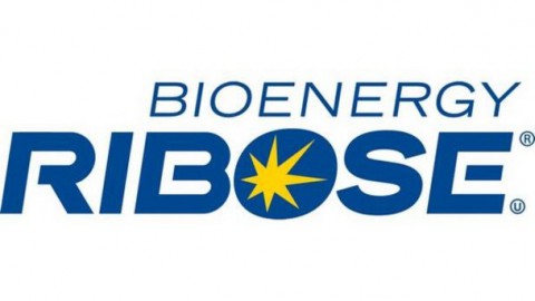 Bioenergy