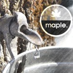 Review: Drink Maple