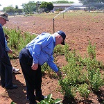 Sweet Talk: A Profile of Stevia Pioneer James May