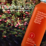 Review: BluePrint’s New Seasonal Variety