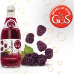 Review: GuS Dry Blackberry