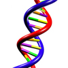 Is Evolution in Your DNA?