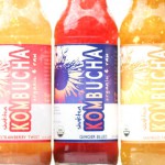 Review: Shaktea Kombucha