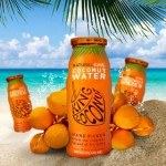 Review: King Coconut Water