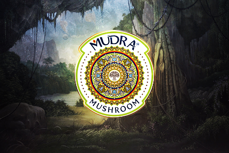 Review: Mudra Mushroom
