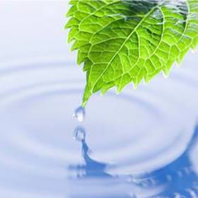 Langlade Springs Gains Distribution for Northern Chill at Select Woodman’s Locations