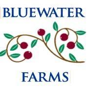 Bluewater Farms Adds Distribution to Shaw’s/Star Market Stores