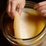 Kombucha’s Great Gas Cloud