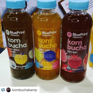 Blueprint Kombucha