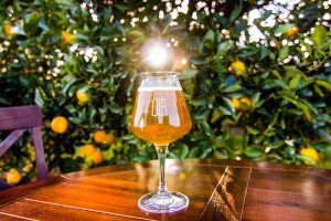 Orchid Island Brewery Grove_012