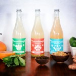 Review: Impressive Small-Batch Sodas from Cannonborough — In Big Bottles