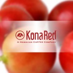 People Moves: KonaRed Adds Soylent COO to Board, Red Bull Alum Joins WANU