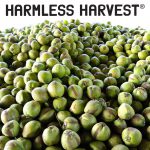 Harmless Harvest Settles Lawsuit Questioning Legitimacy of Organic Certification, “Vigorously” Denies Allegations