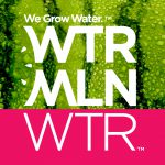 WTRMLN WTR Targeted In Class Action Suit