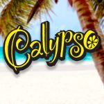 PE Firm Acquires Calypso Lemonade Maker