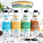 Bolthouse Farms Launches Plant Protein Milks