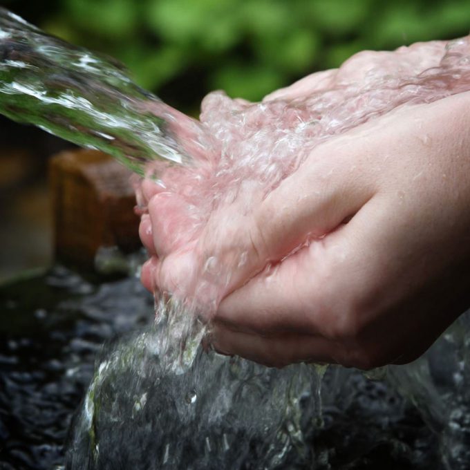 Press Clips: Scientists Refute Raw Water; Organic Milk Sales Decline