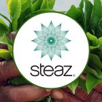 Steaz Rebrands Cactus Water As Prickly Pear, Expands Natural Energy Line
