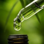 In the Courtroom: FDA Confiscates CBD Edibles at Arizona Smoke Shop