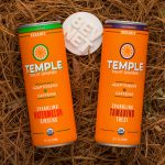 Review: Temple Vitality Supertonic