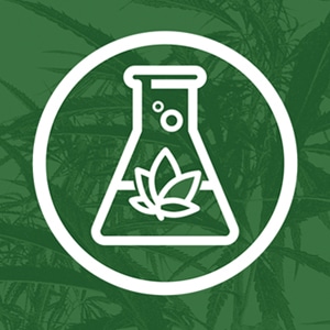 2019 Cannabis Food and Beverage Guide
