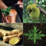 BevNET Magazine Feature: 2019 Flavor & Ingredient Trends