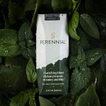 Former Beyond Meat Co-Founder Launches Plant-Based Drink for 50+ Demo
