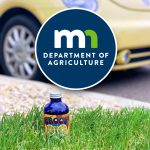 Minnesota Moves to Block CBD Beverage Sales