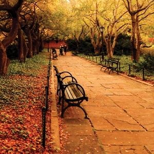 Publisher’s Toast: Springing Forward into Fall