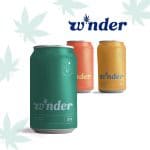 Former BrewDog USA CEO Launches CBD Beverage