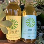 Review: Special Leaf Olive Leaf Tea