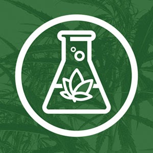 2020 Cannabis Food and Beverage Guide