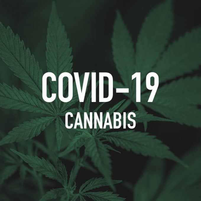 Cannabis, CBD Brands Feel Impact of COVID-19