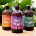 Review: Brew Dr. Kombucha Tranquil with CBD